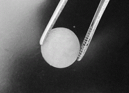 Bismuth vanadate functional ceramics and preparation method thereof