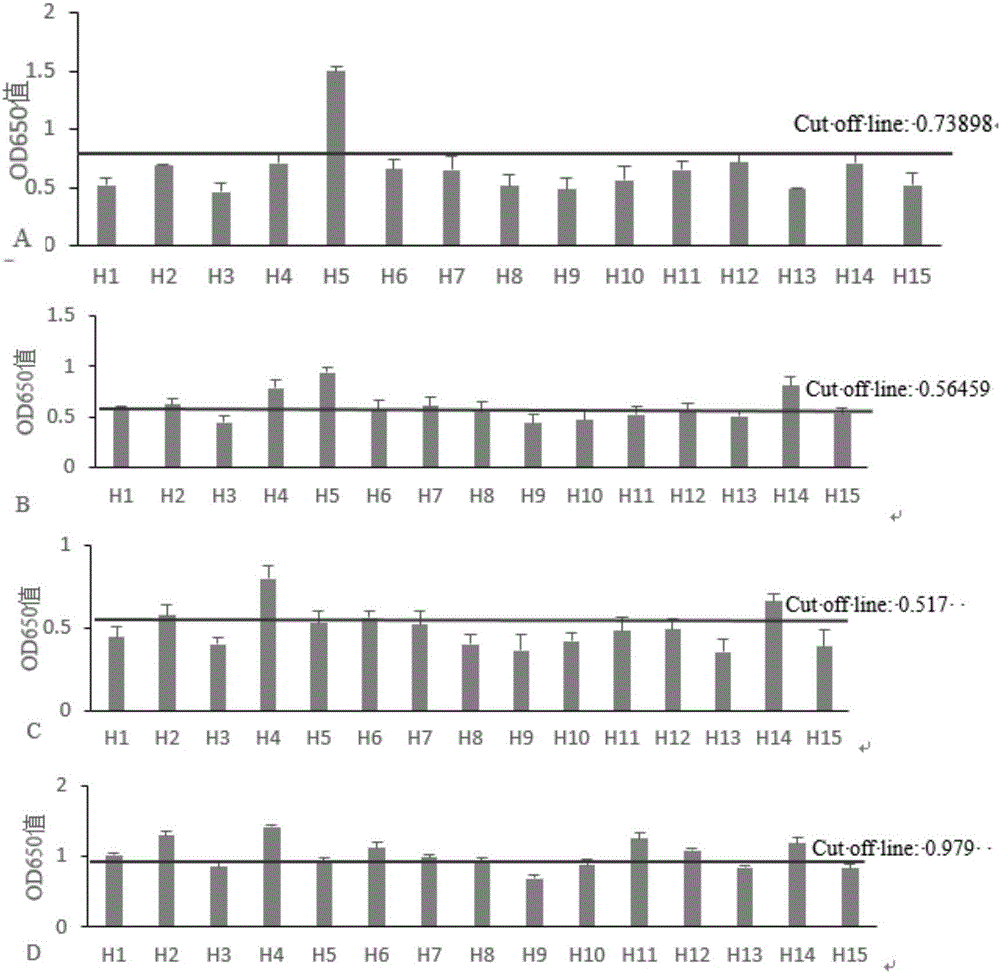 H5 subtype avian influenza virus HA protein B cell epitope polypeptide and application thereof