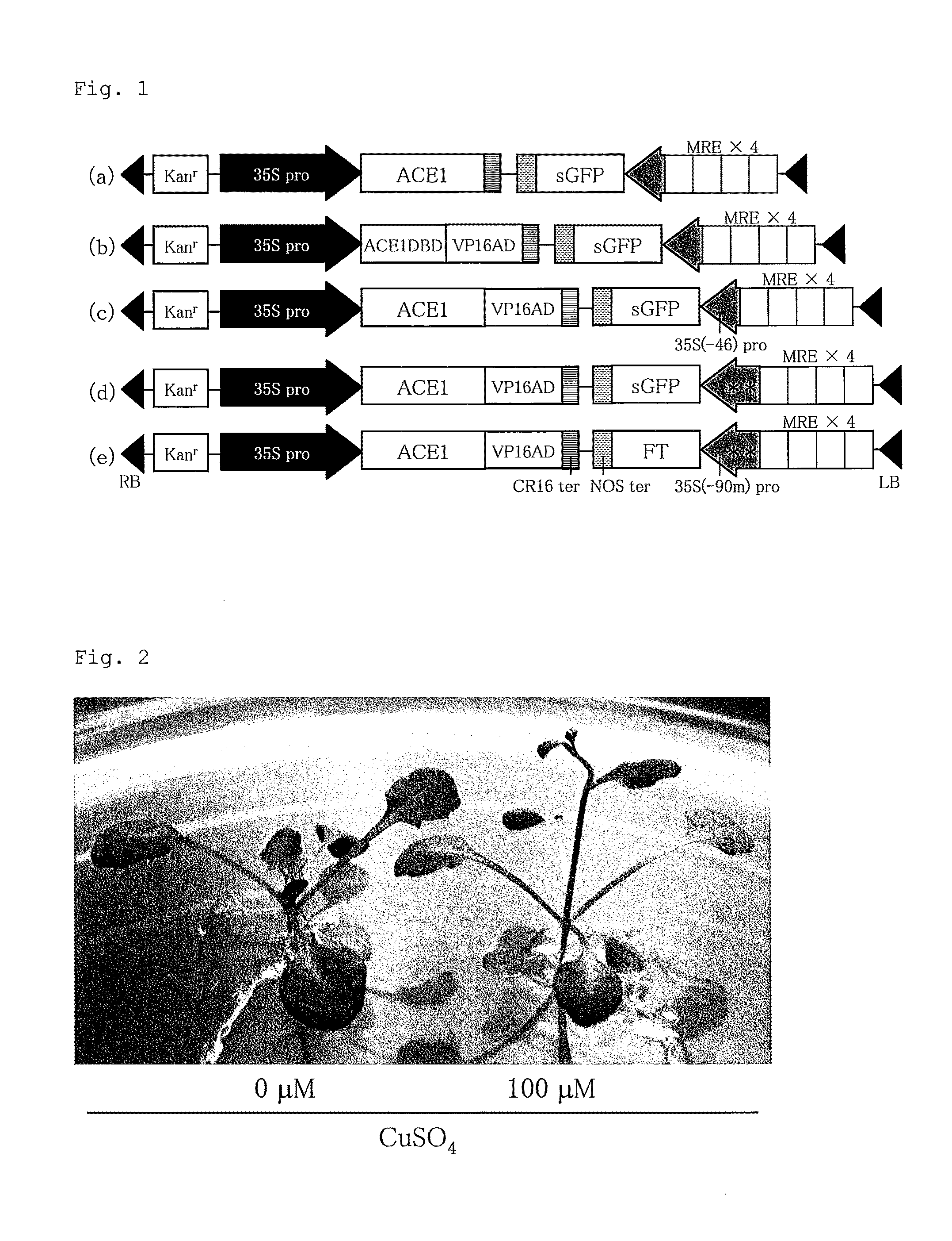 Method for controlling flowering time of plant