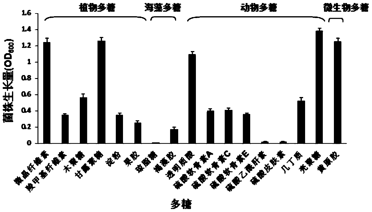 A Streptomyces polysaccharide-degrading bacterium and its cultivation method and application