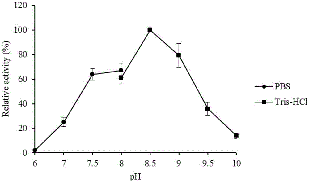 Esterase BSE01701 and encoding gene and application thereof