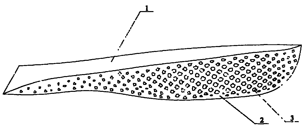 Insole structure of sneakers