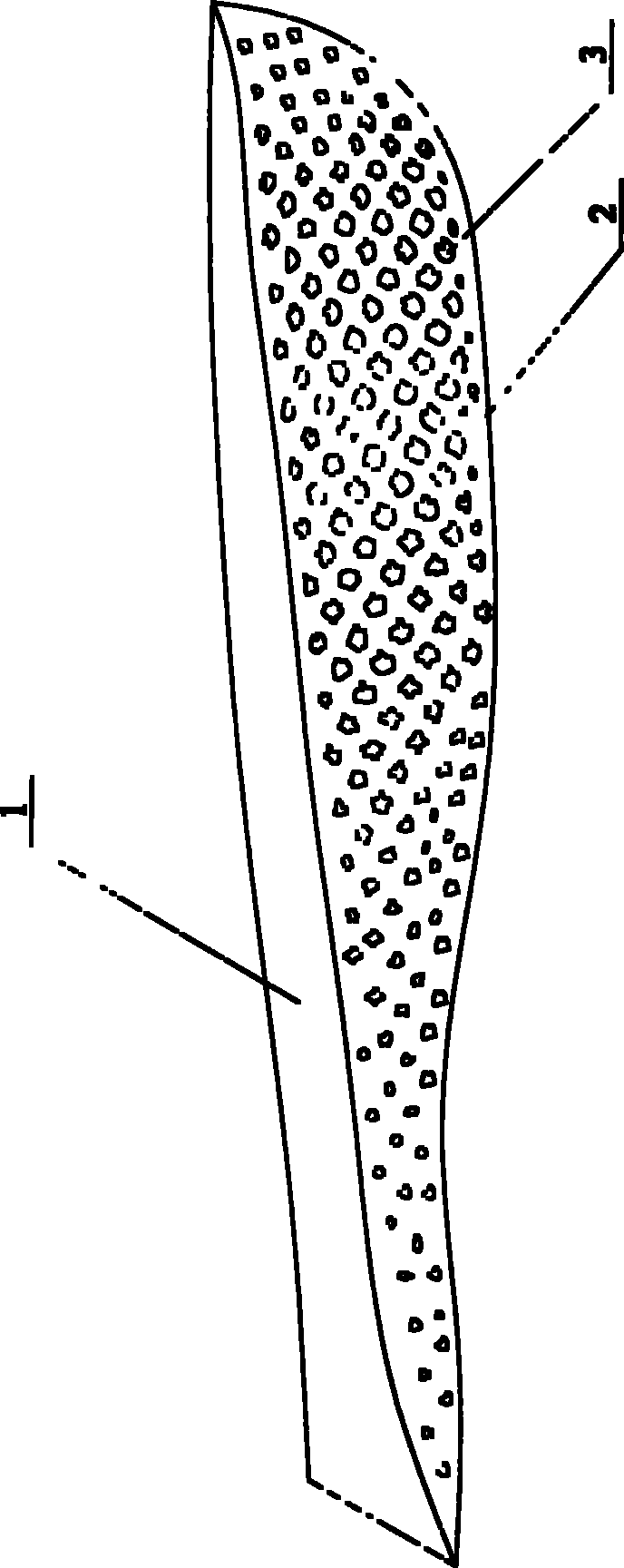 Insole structure of sneakers