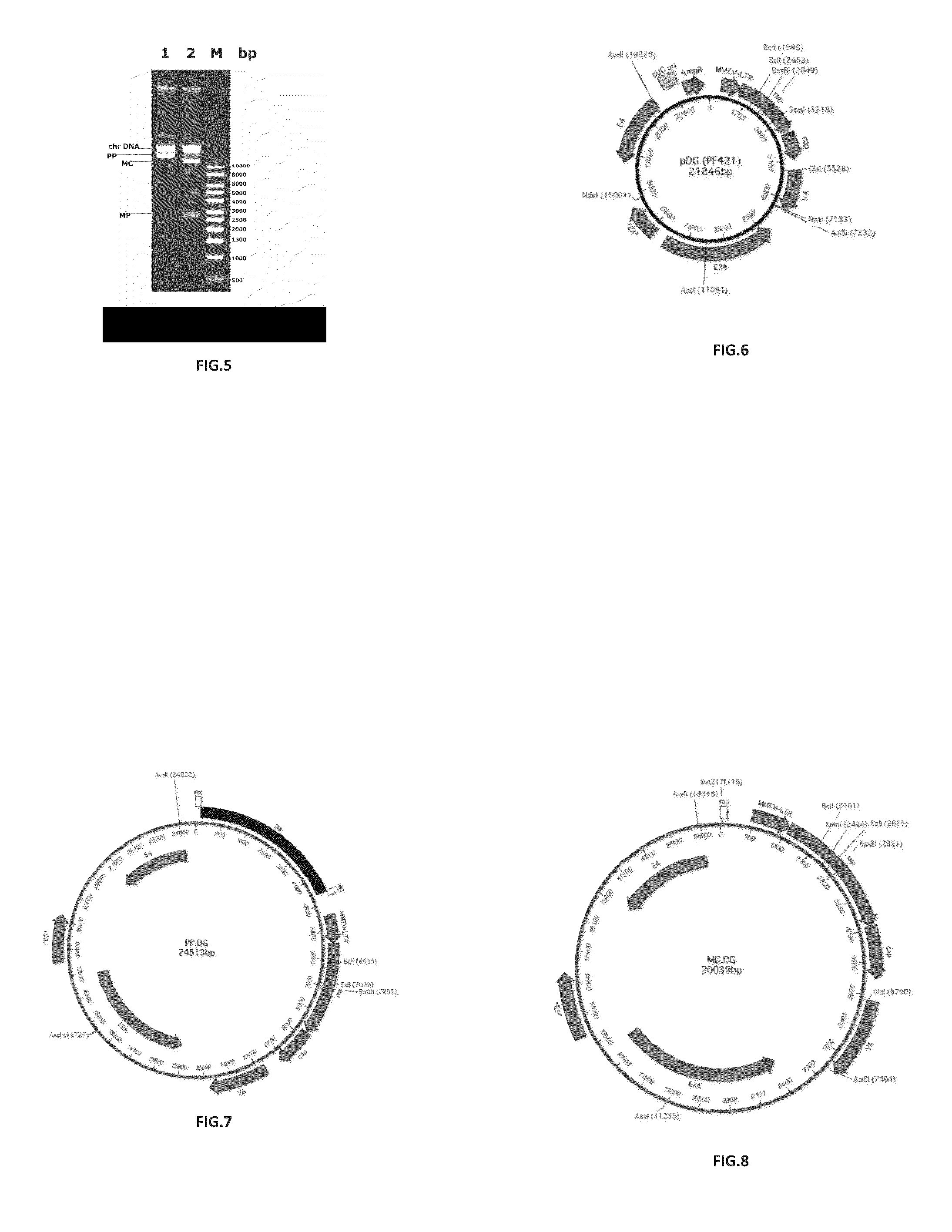 Minicircles with viral expression cassettes and their use in the transformation of cells for generating recombinant virus or viral gene vectors