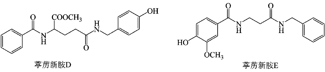 A kind of Tingcetamine D, Tingcetamine E and its preparation method and application