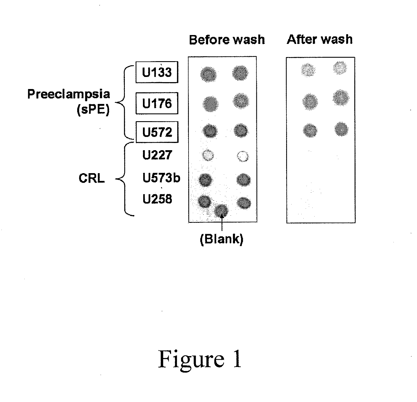 Methods and kits for detecting misfolded proteins