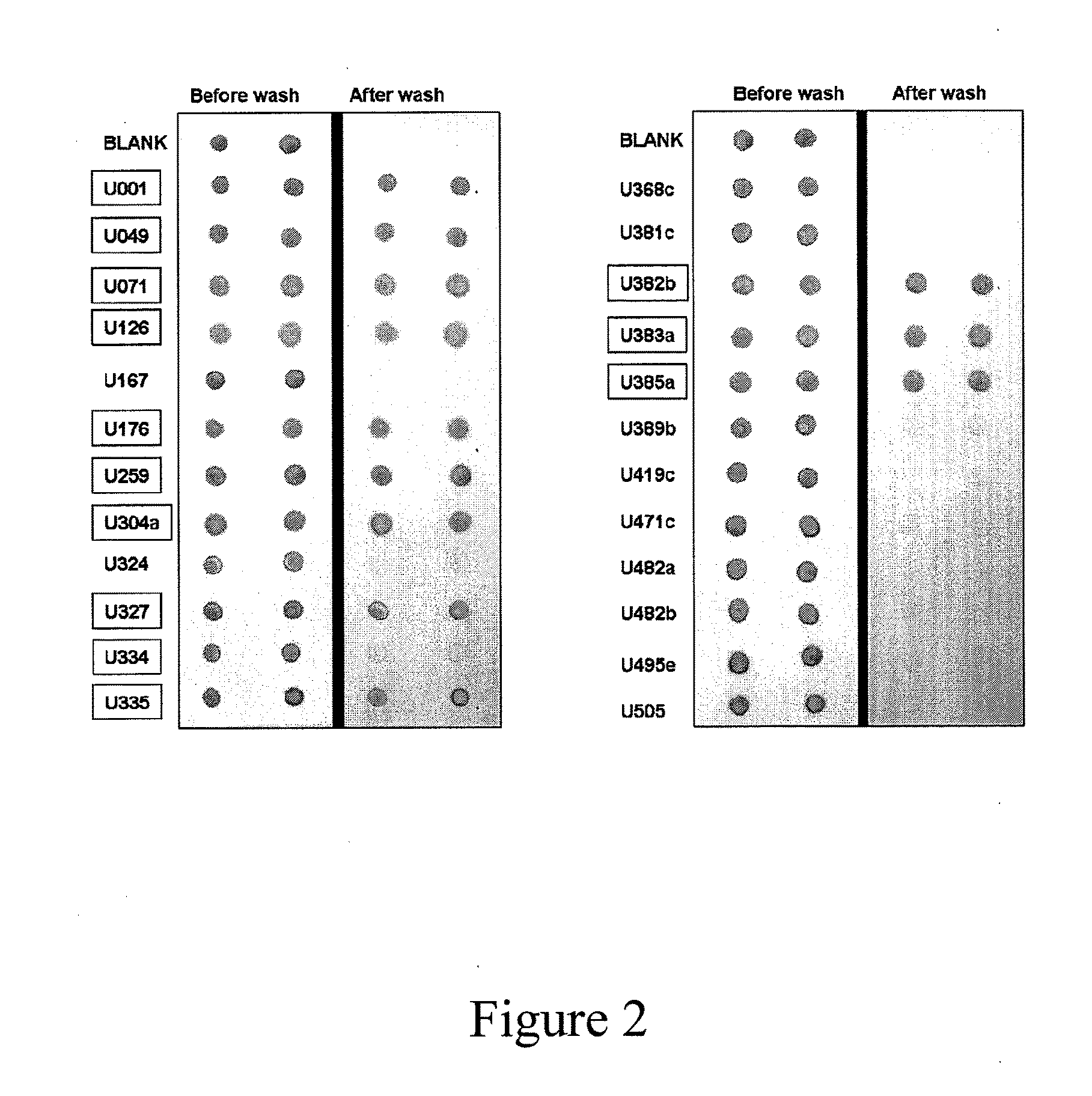Methods and kits for detecting misfolded proteins