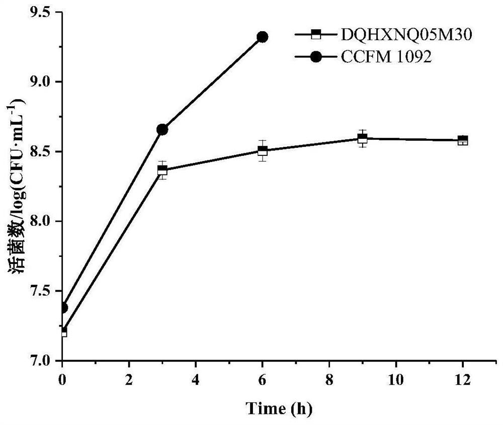 A strain of Lactococcus lactis subsp. lactis and its application in the preparation of soybean milk