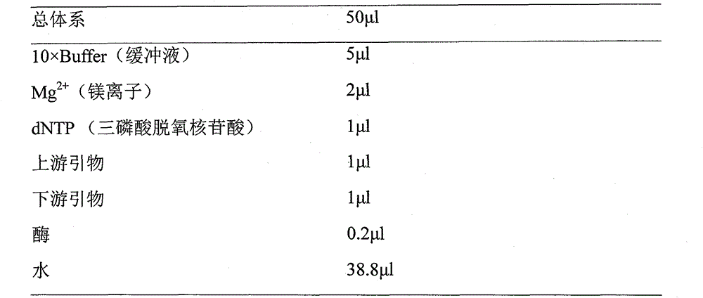 Detection for methylated sites of human genes NUDT2 and PCDH8 and applications of methylated sites of human genes NUDT2 and PCDH8