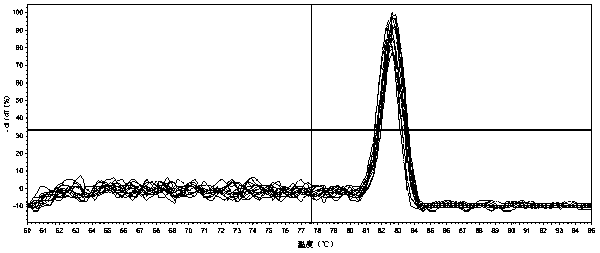 Application of phalaenopsis aphrodite PP2A gene as internal reference gene