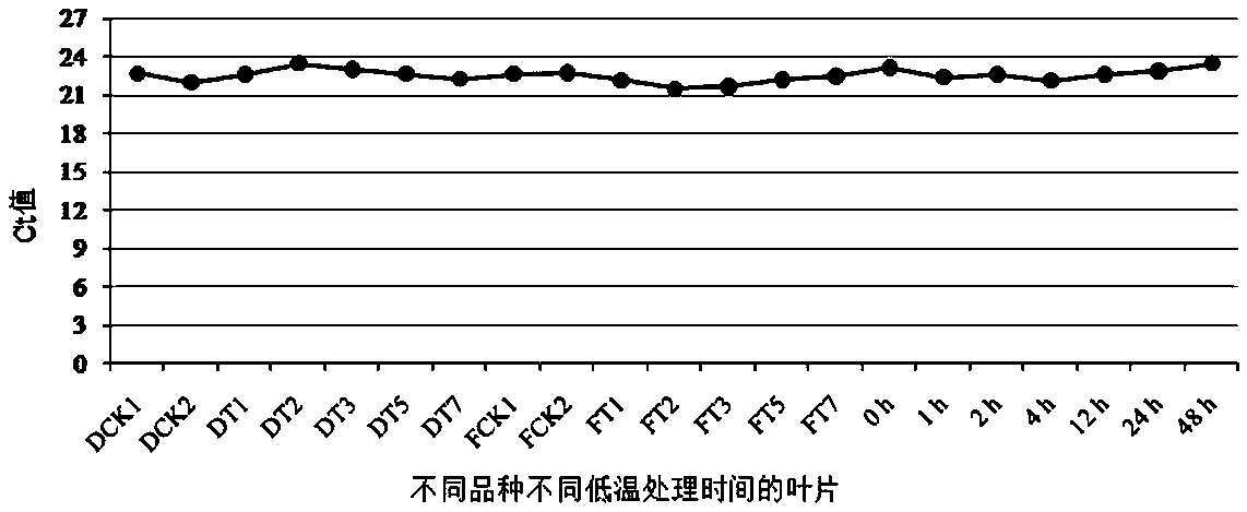 Application of phalaenopsis aphrodite PP2A gene as internal reference gene