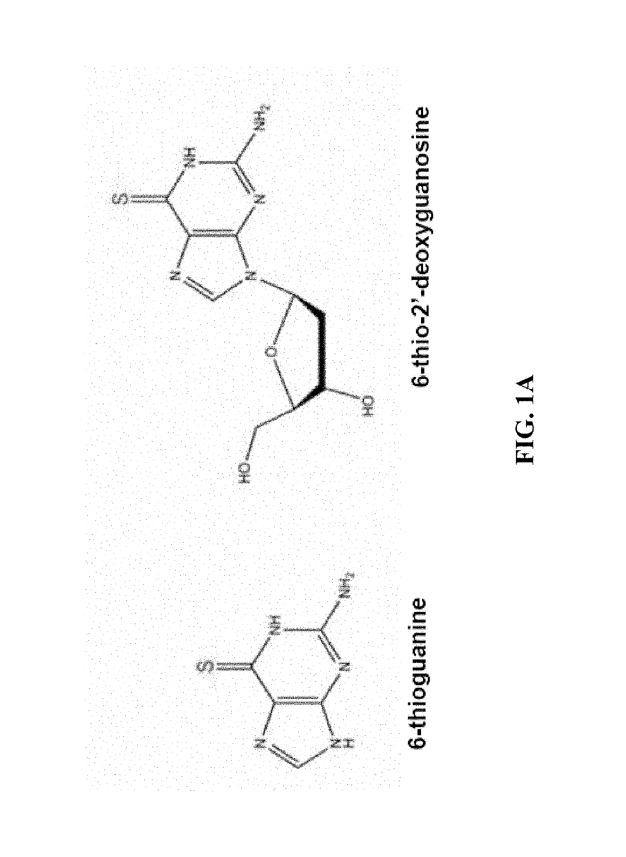 Telomerase mediated telomere altering compounds