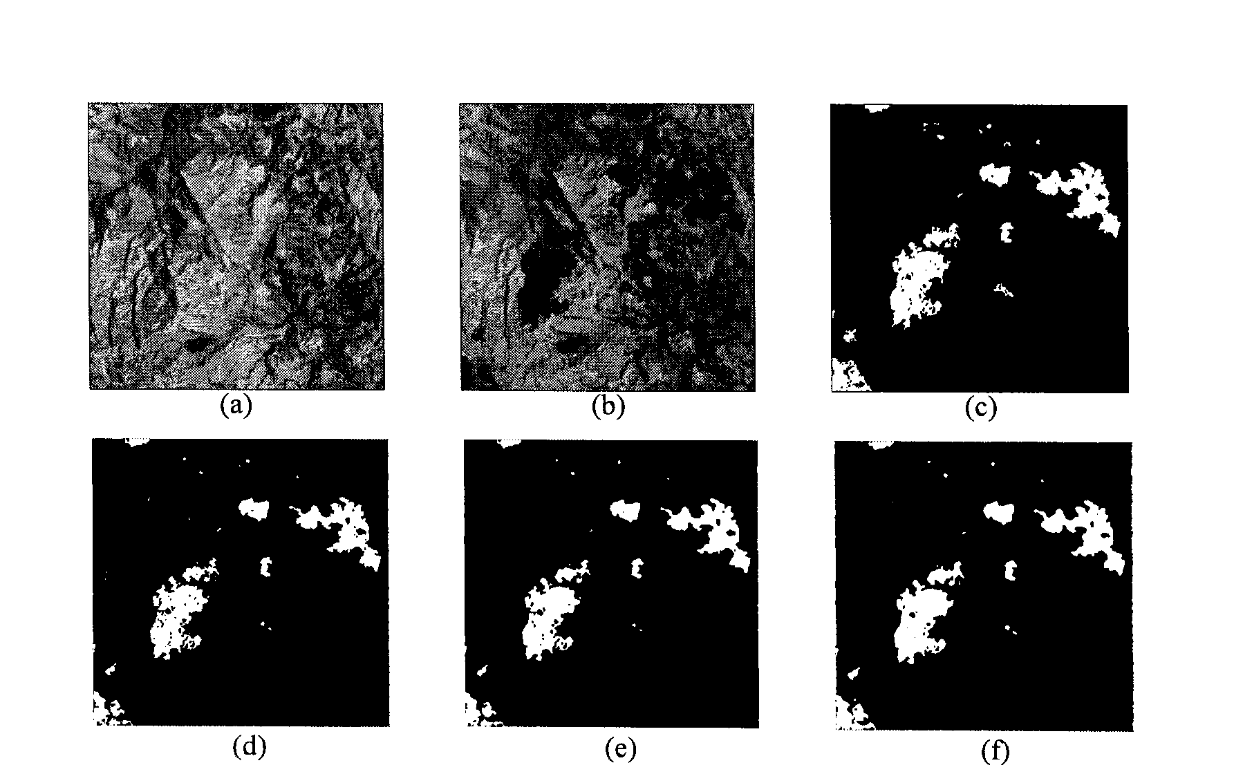SAR (synthetic aperture radar) image change detection method combining multi-threshold segmentation with fuzzy clustering