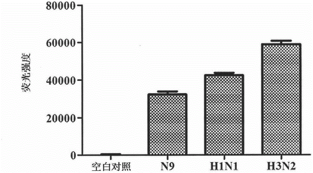 Application of AIV (avian influenza virus) H7N9 NA (neuraminidase) inhibitor