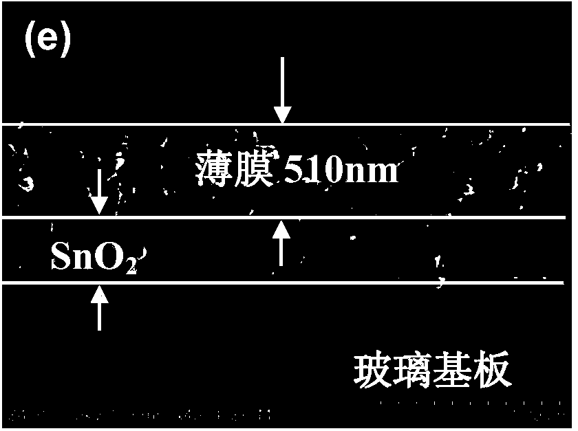 High-dielectric-constant Bi[1-x]DyxFeO3 film and preparation method thereof
