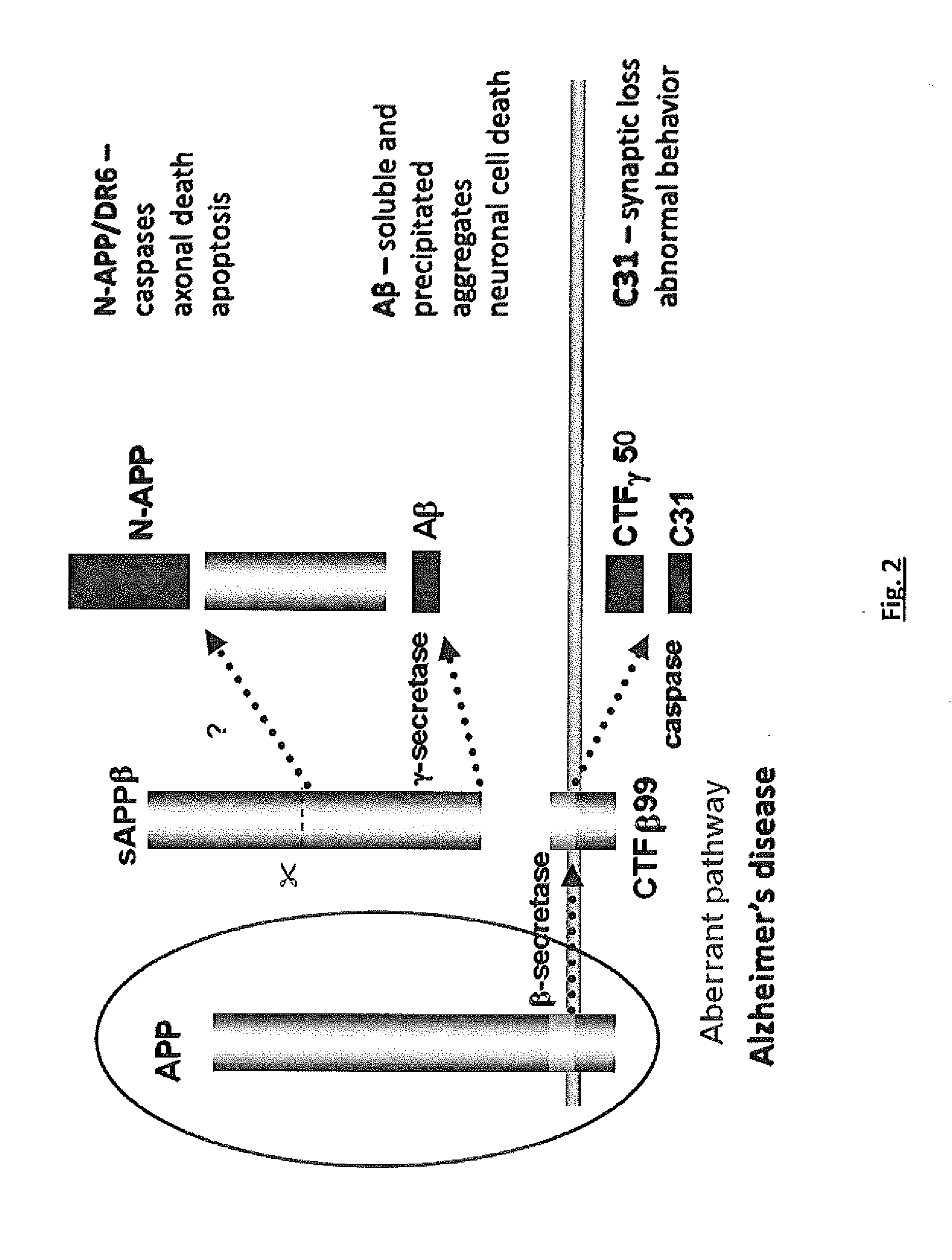 Effective Amounts of (3aR)-1,3a,8-Trimethyl-1,2,3,3a,8,8a-hexahydropyrrolo [2,3-b]indol-5-yl Phenylcarbamate and Methods of Treating or Preventing Neurodegeneration