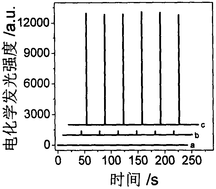 Electrochemical luminescence Faraday cage immunosensor for detecting histone acetyltransferase