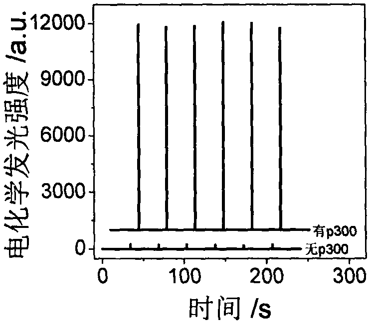 Electrochemical luminescence Faraday cage immunosensor for detecting histone acetyltransferase