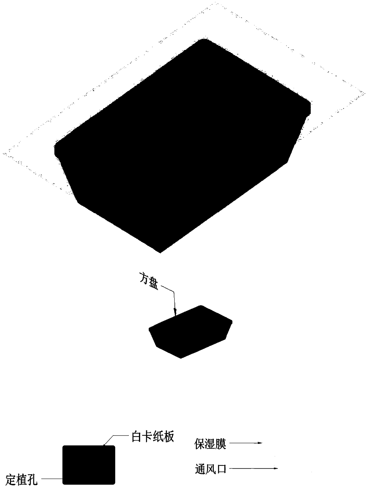 Hydroponic breeding method of acorus gramineus