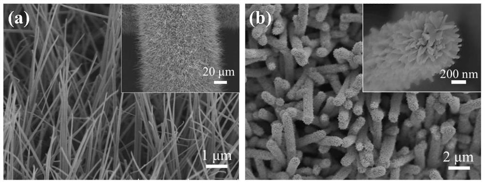 Titanium carbide/carbon core-shell nanowire array loaded nitrogen-doped lithium titanate composite material and its preparation method and application