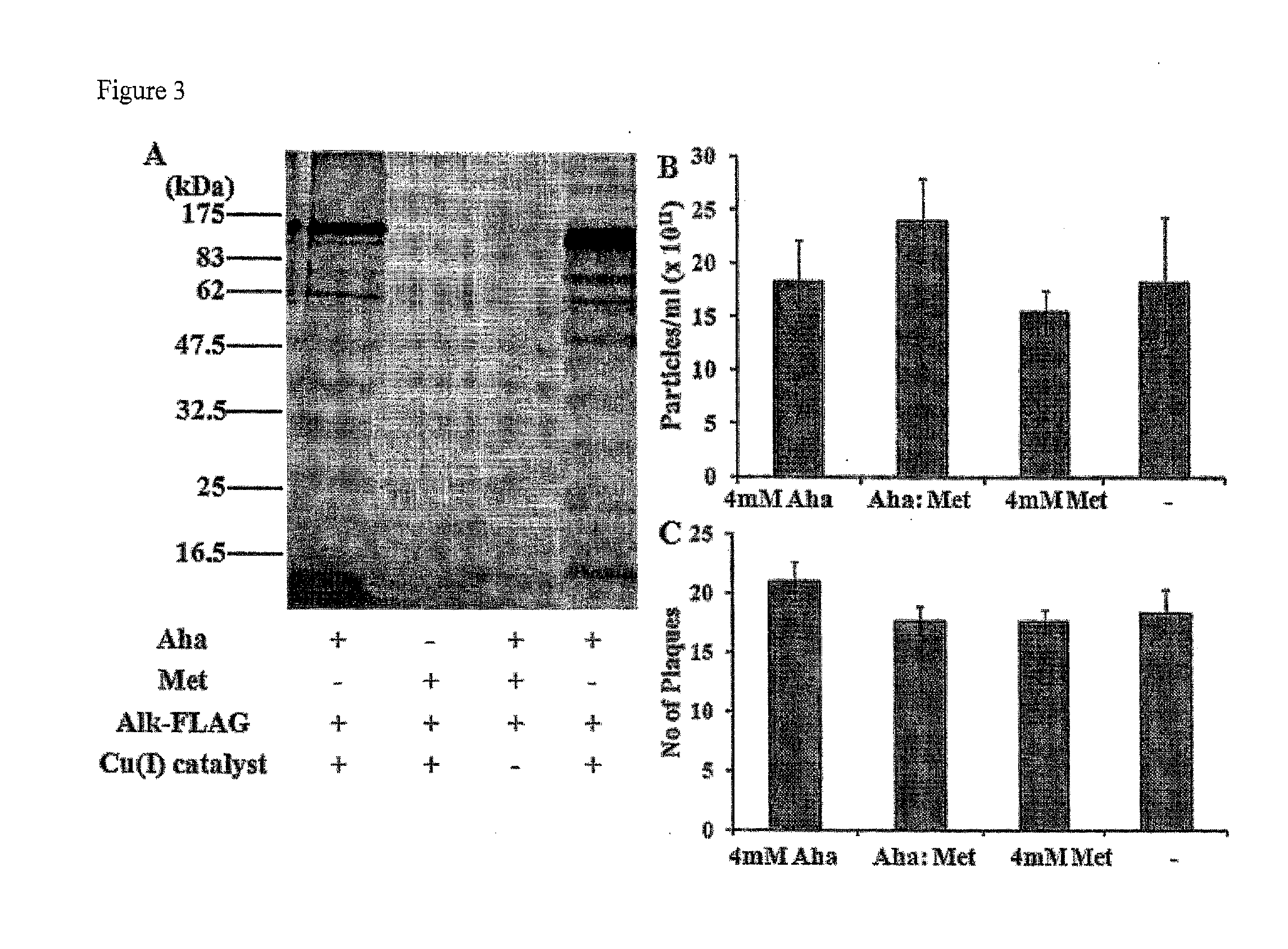 Viruses modified with unnatural moieties and methods of use thereof