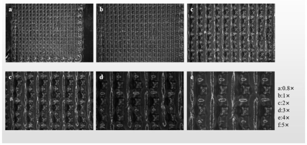 3D bioprinted active biofilm for improved amic technology cartilage repair and its preparation method