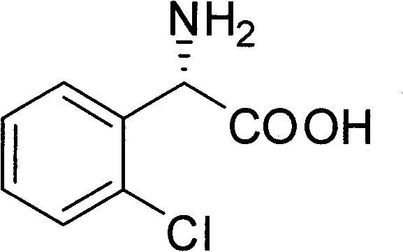Chemical-enzyme method for preparing (S)-2-chlorophenyl glycine methyl ester clopidogrel chiral intermediate