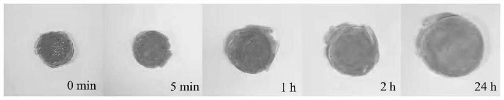 Cationic cyclodextrin-based hydrogel adsorbing material and synthetic method thereof