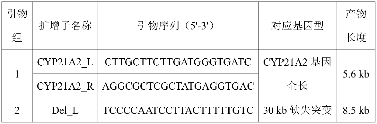 Primer and reagent kit for detecting CYP21 gene mutation and application of primer and reagent kit