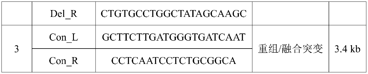 Primer and reagent kit for detecting CYP21 gene mutation and application of primer and reagent kit