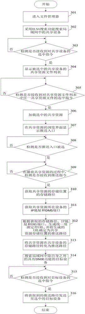 Shared resource push method and apparatus, and electronic device