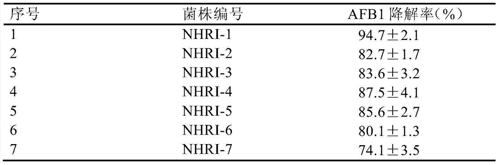 Separating, culturing and application methods for Rhodococcus erythropolis strain used for degrading aflatoxin B1