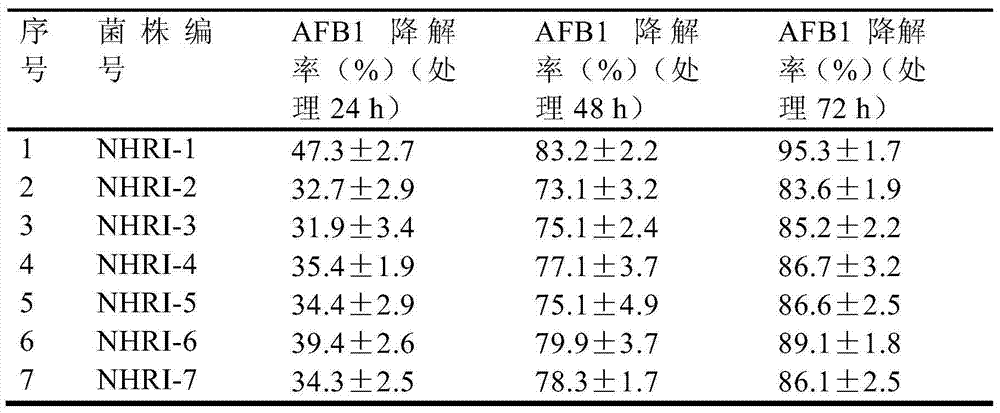 Separating, culturing and application methods for Rhodococcus erythropolis strain used for degrading aflatoxin B1