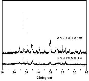 Method for preparing magnetic magnesium oxide surface molecular imprinting solid phase extractant