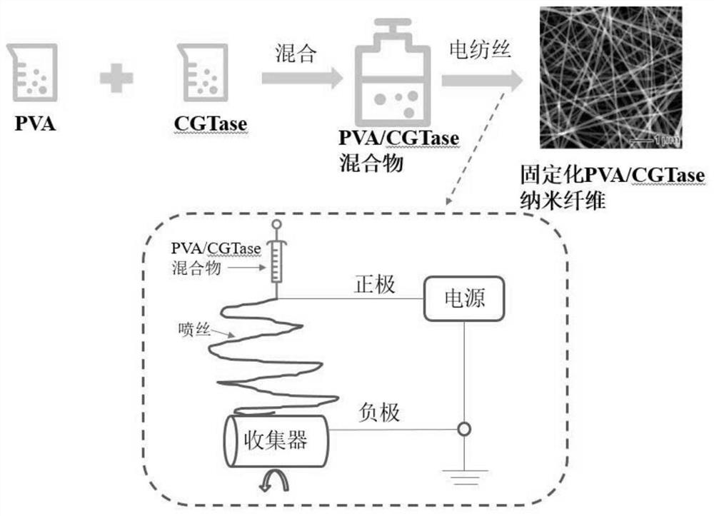 A method for immobilizing enzymes on nanofibers