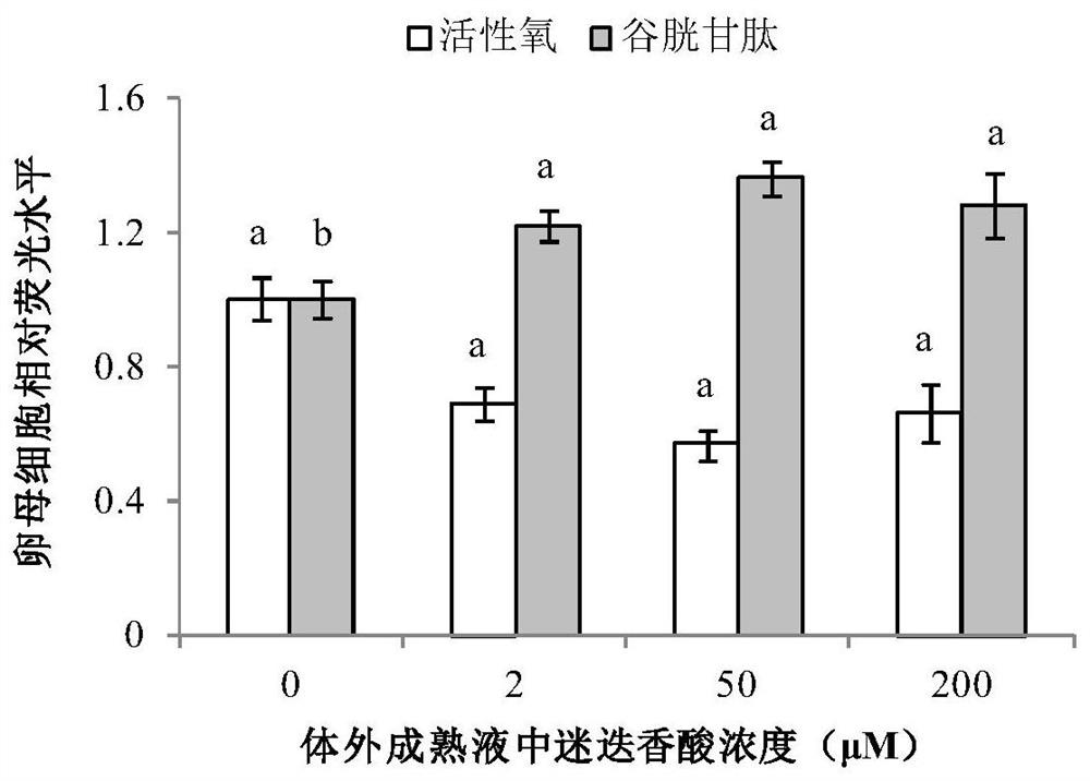 A kind of in vitro maturation culture medium of oocytes added with rosmarinic acid and its application