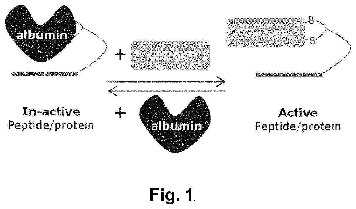Glucose-sensitive albumin-binding derivatives