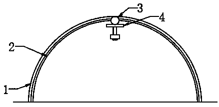 Greenhouse for planting of radix angelicae pubescentis