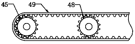 Greenhouse for planting of radix angelicae pubescentis