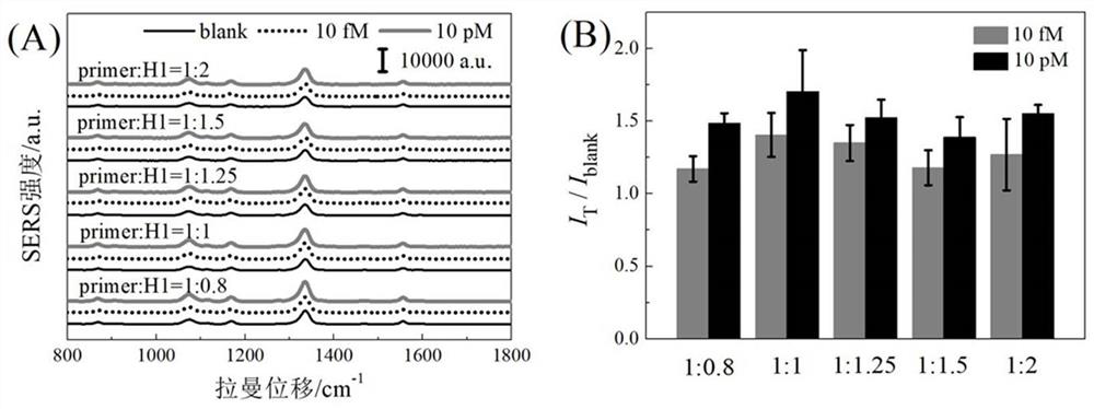 SERS detection kit and method for detecting SARS-CoV-2 nucleic acid