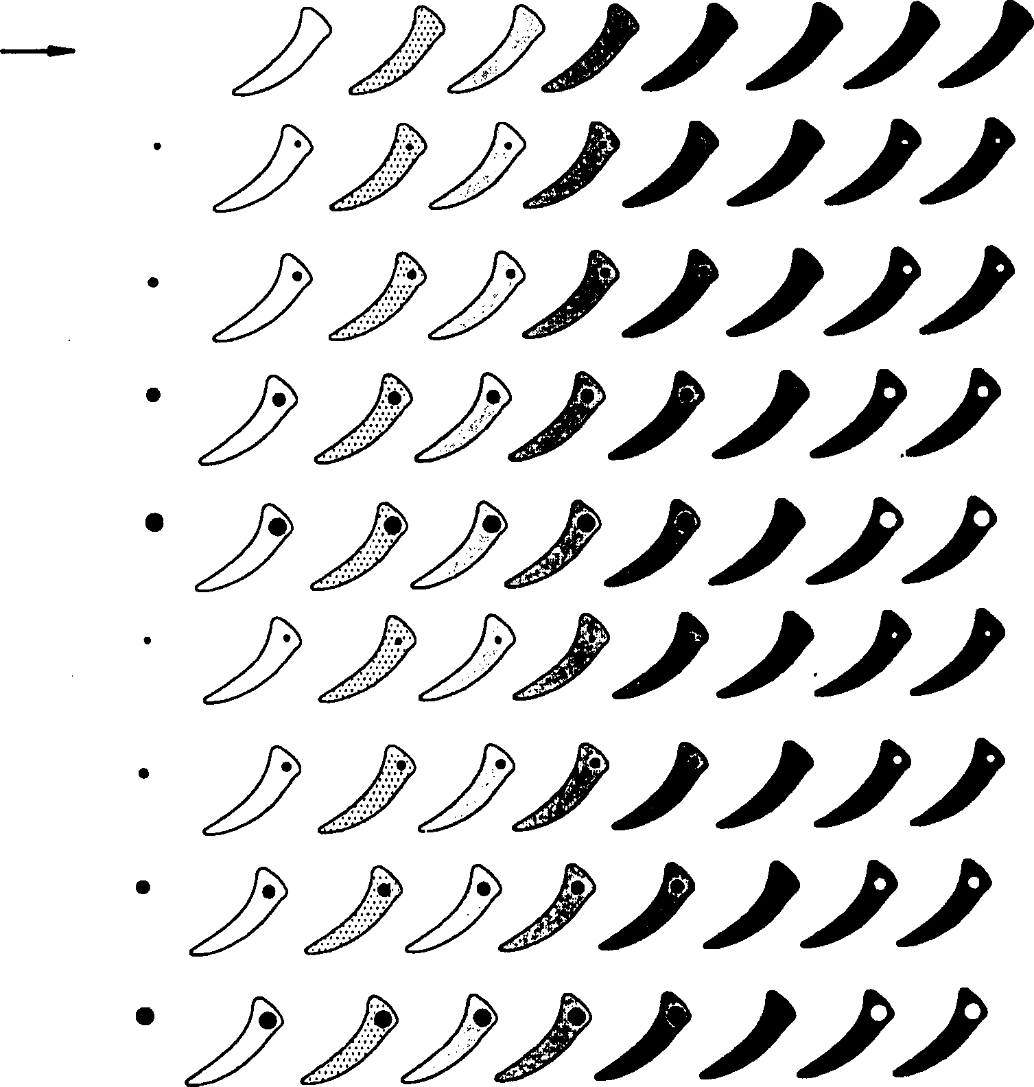 Computer character form, its stroke order and radical displaying method for Chinese character teaching