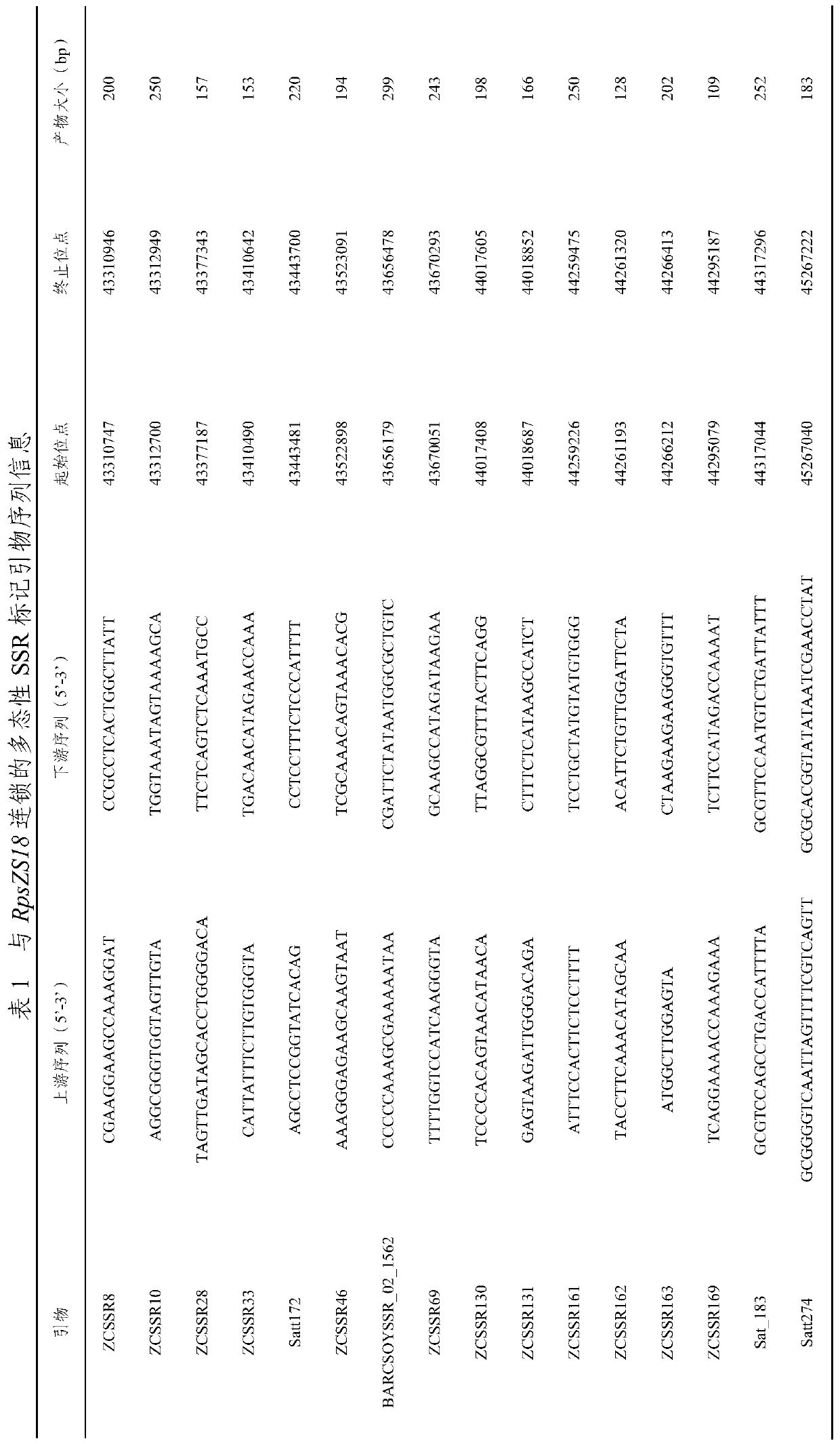 Molecular marker co-segregated with soybean blight resistance gene rpszs18 and its application