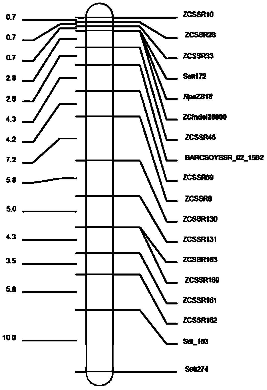 Molecular marker co-segregated with soybean blight resistance gene rpszs18 and its application