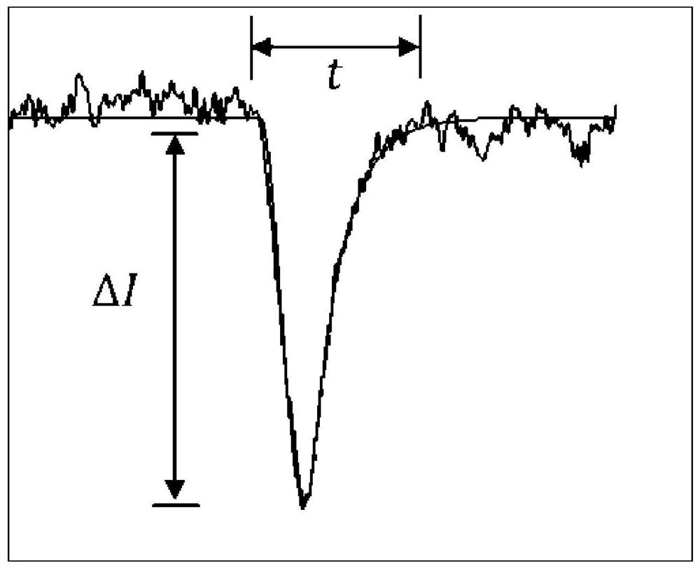 Mass spectrum interface structure and mass spectrum analyzer