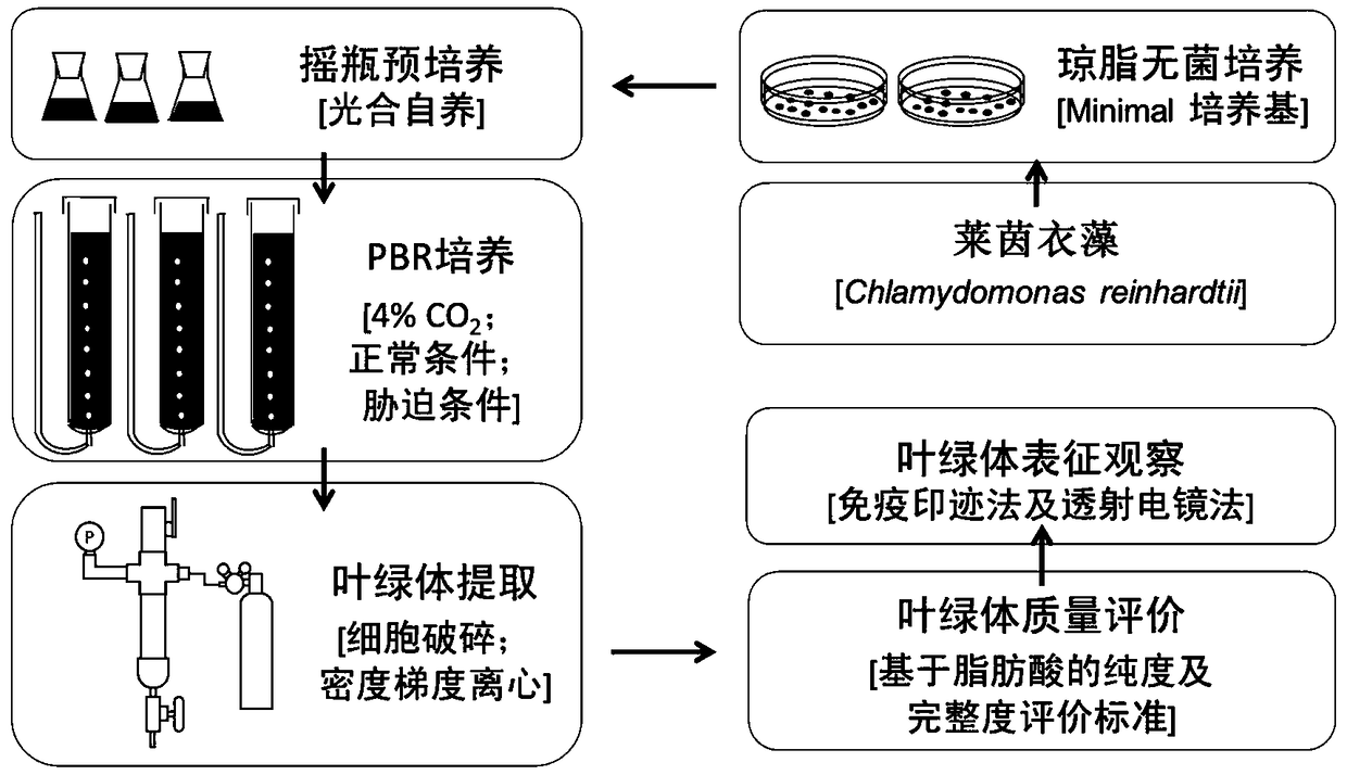 Method for extracting chloroplasts from Chlamydomonas reinhardtii