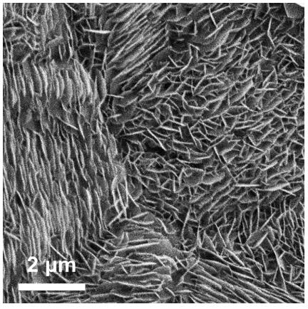 A kind of method for preparing 7α-methyl-19-aldehyde group-4-androstene-3,17-dione by electrocatalytic oxidation