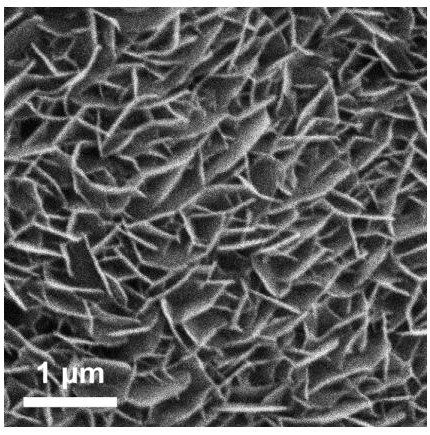 A kind of method for preparing 7α-methyl-19-aldehyde group-4-androstene-3,17-dione by electrocatalytic oxidation