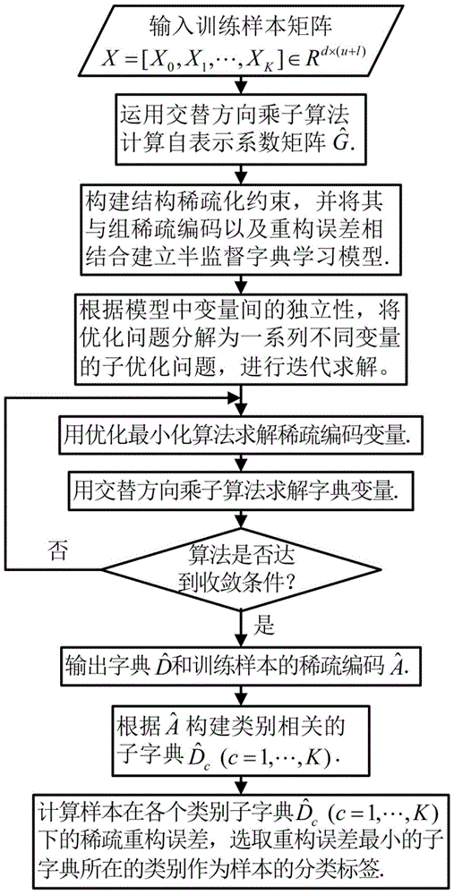 Structure sparsification maintenance based semi-supervised dictionary learning method