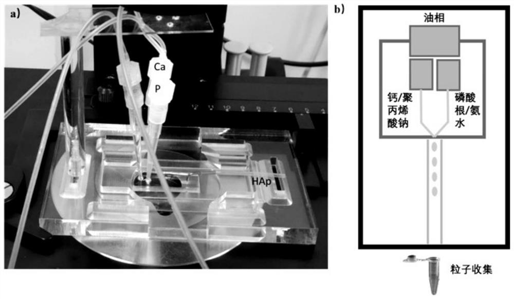 Controllable preparation method of modified hydroxyapatite powder based on microfluidic control and hydroxyapatite nano particles