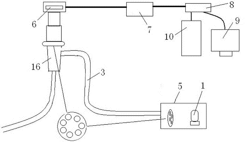 Multi-spectrum endoscopic optics switching system